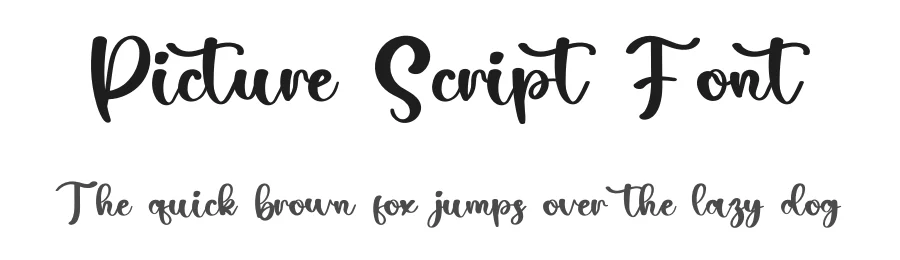 Picture Script Font by inermediaSTUDIO — Script Handwritten Font