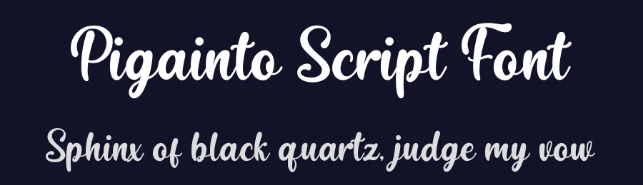 Pigainto Script Font by Basnistudio — Script Handwritten Font — thumbnail 2