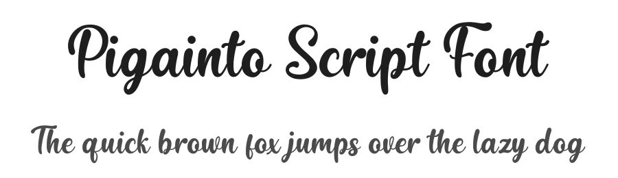 Pigainto Script Font by Basnistudio β Script Handwritten Font