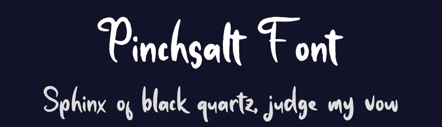 Pinchsalt Font by bearydsgn — Script Handwritten Font — thumbnail 2