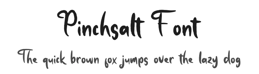 Pinchsalt Font by bearydsgn — Script Handwritten Font