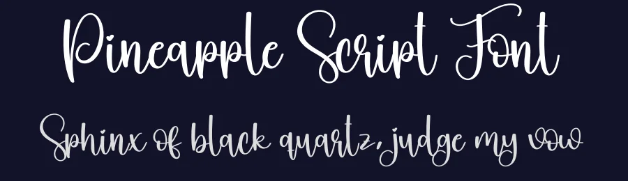 Pineapple Script Font by creativeletter — Script Handwritten Font — thumbnail 2