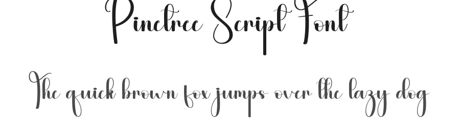 Pinetree Script Font by andikastudio — Script Handwritten Font