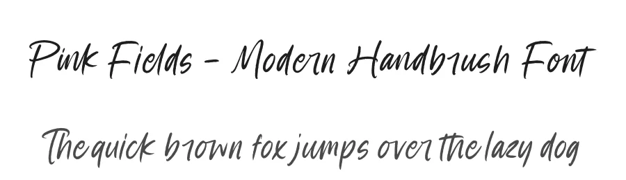 Pink Fields – Modern Handbrush Font by stylishtype.co — Script Handwritten Font