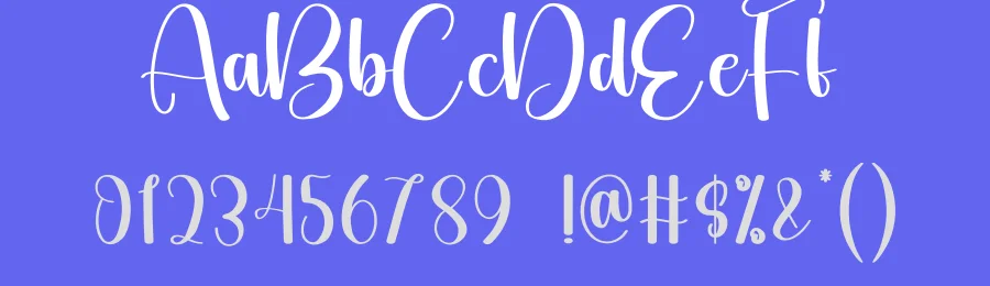Pinkytoe – Modern Simple Font by creativeletter — Script Handwritten Font — thumbnail 3
