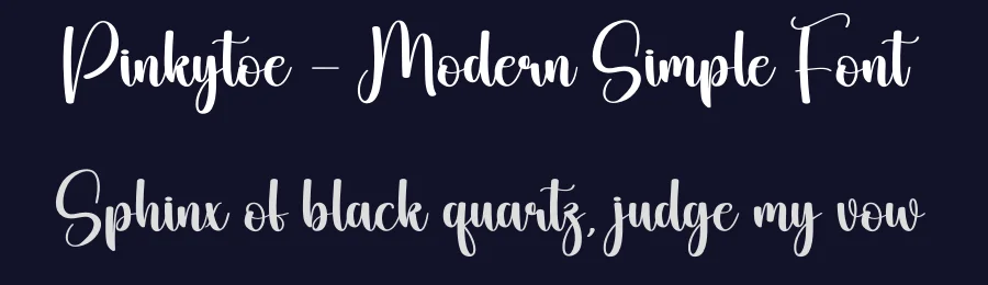 Pinkytoe – Modern Simple Font by creativeletter — Script Handwritten Font — thumbnail 2