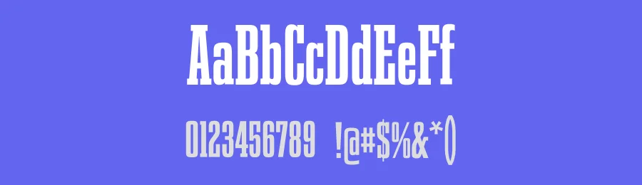 Pirrieboo Font by Artnivora Studio — Slab Serif Font — thumbnail 3