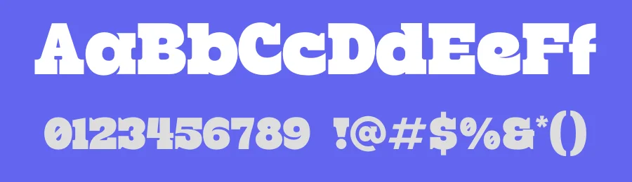Pitacco Slab Font by BRAINWAVES STUDIO — Decorative Font — thumbnail 3