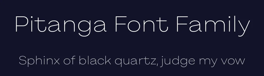Pitanga Font Family by Fabio Haag Type — Decorative Font — thumbnail 2