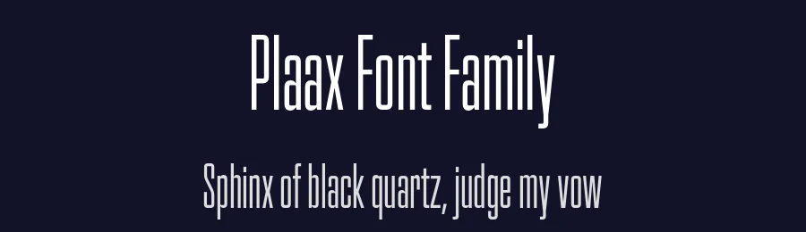 Plaax Font Family by Damien Gautier — Sans Serif Font — thumbnail 2
