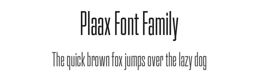 Plaax Font Family by Damien Gautier β Sans Serif Font