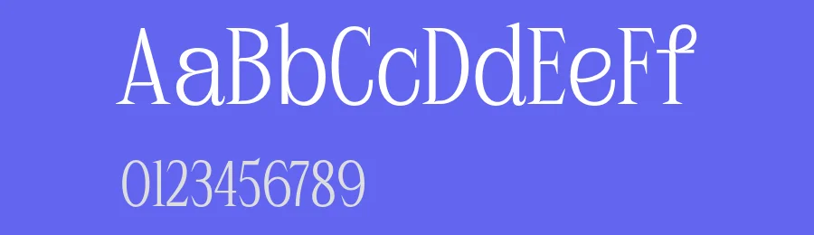 Plafisco Font by Hole Hope Design — Serif Font — thumbnail 3