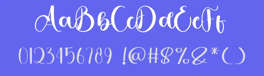 Planner Autography – Casual Handwritten Script Font by freshtypeink — Script Handwritten Font — thumbnail 3