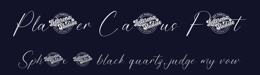 Planter Cactus Font by letterenastudios — Script Handwritten Font — thumbnail 2