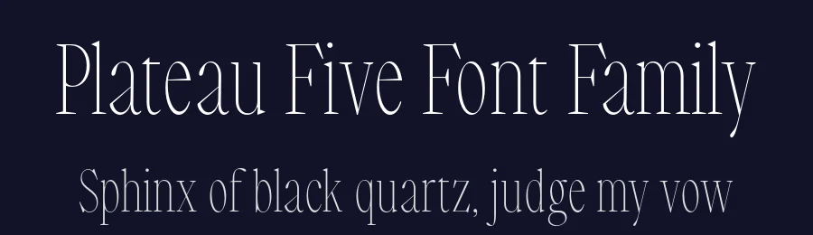 Plateau Five Font Family by Road to Venice Type — Serif Font — thumbnail 2