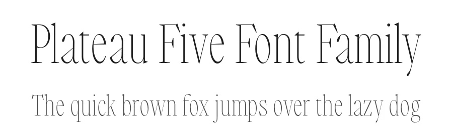 Plateau Five Font Family by Road to Venice Type β Serif Font
