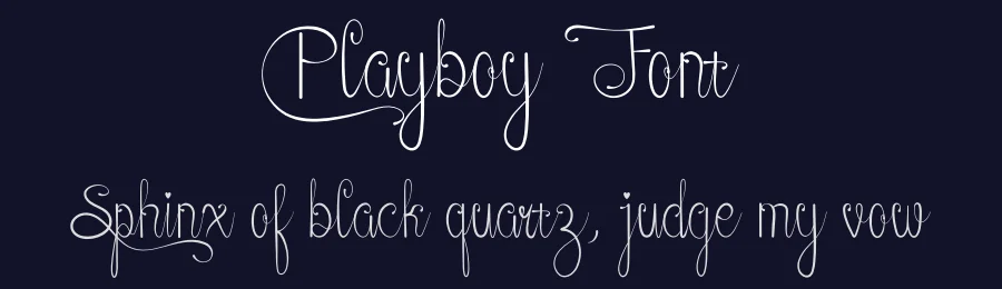 Playboy Font by ronistudio — Script Handwritten Font — thumbnail 2