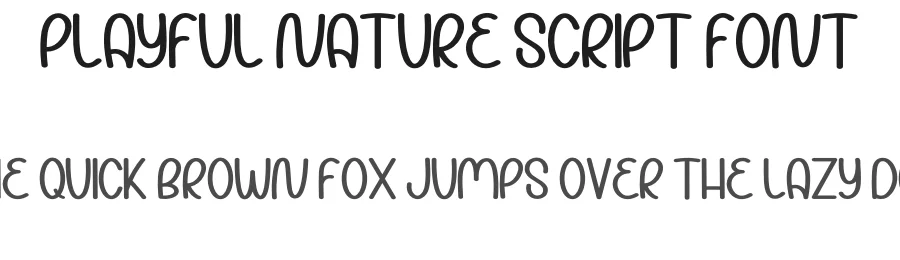 Playful Nature Script Font by inermediaSTUDIO — Display Font