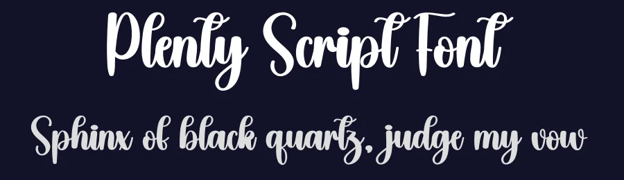 Plenty Script Font by creativeletter — Script Handwritten Font — thumbnail 2