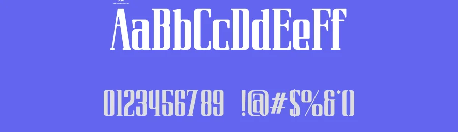 Ploker – Retro Serif Font by ErmediaStudio — Decorative Font — thumbnail 3