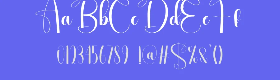 Plugins Script Font by andikastudio — Script Handwritten Font — thumbnail 3