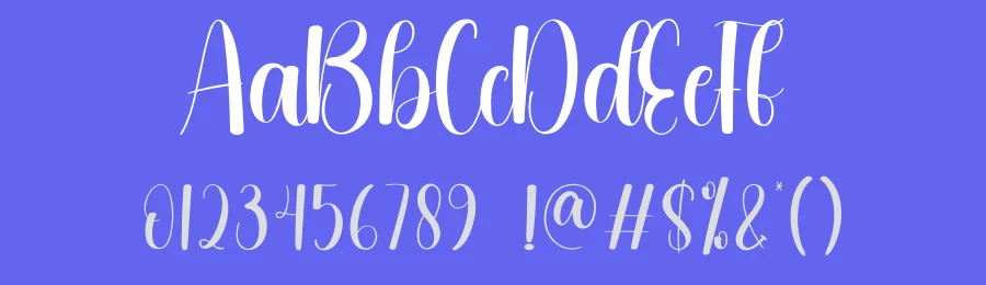 Plunge Script Font by andikastudio — Script Handwritten Font — thumbnail 3