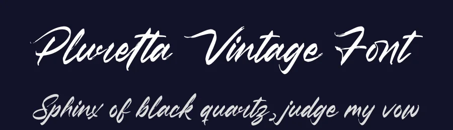 Pluretta Vintage Font by letterenastudios — Script Handwritten Font — thumbnail 2