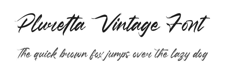Pluretta Vintage Font by letterenastudios — Script Handwritten Font
