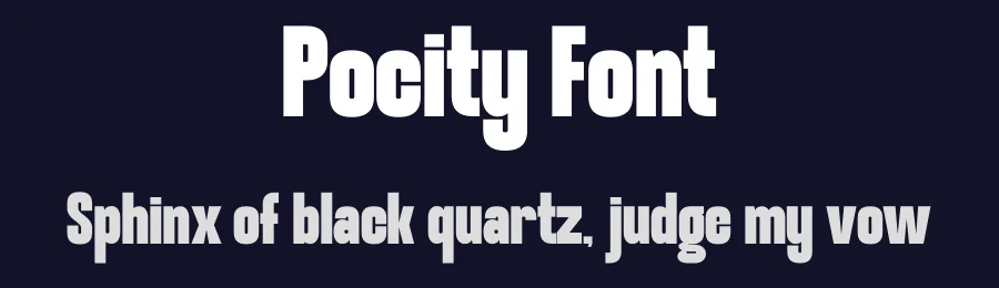 Pocity Font by Funtype — Decorative Font — thumbnail 2