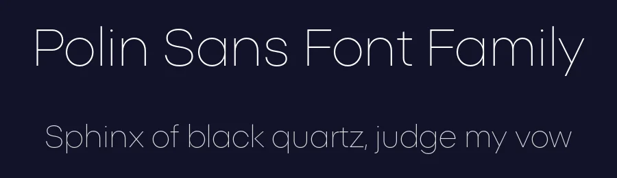 Polin Sans Font Family by Mateusz Machalski — Sans Serif Font — thumbnail 2