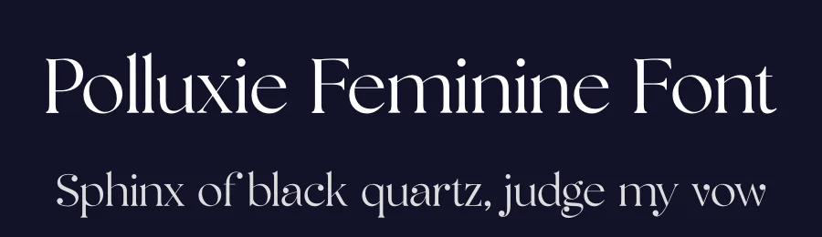 Polluxie Feminine Font by UICreative — Serif Font — thumbnail 2