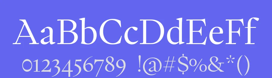 PP Writer Font Family by Pangram Pangram — Serif Font — thumbnail 3