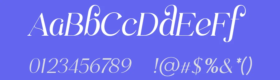 Praesdia Font by UICreative — Serif Font — thumbnail 3
