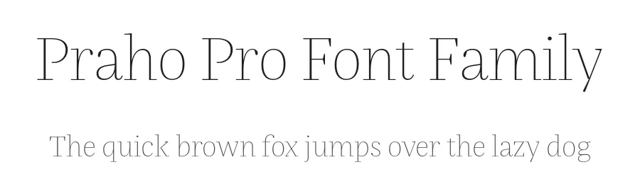 Praho Pro Font Family by Picador β Serif Font