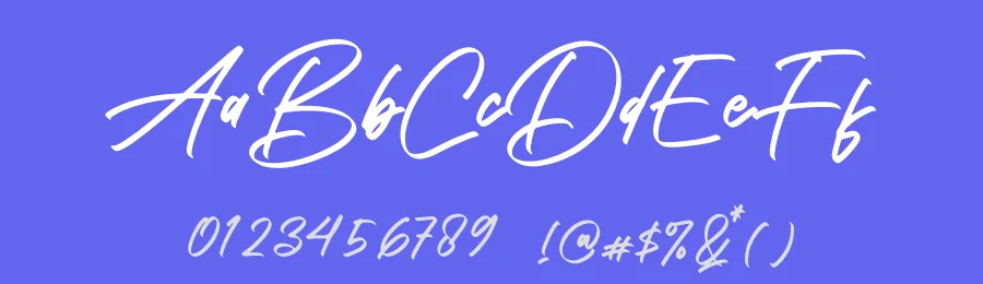 Prechley Font by letternity — Script Handwritten Font — thumbnail 3