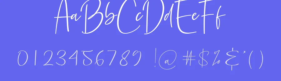 Precious Soul Script Font by fikryal — Script Handwritten Font — thumbnail 3