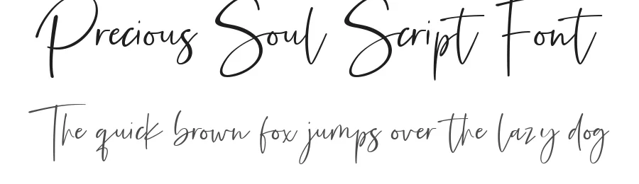 Precious Soul Script Font by fikryal β Script Handwritten Font