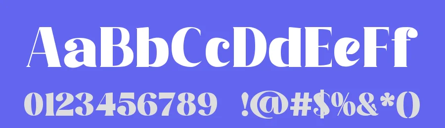 Premising Font by Letternesia studio — Serif Font — thumbnail 3