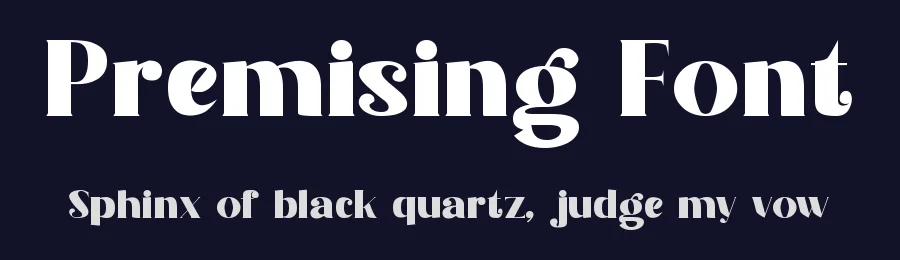 Premising Font by Letternesia studio — Serif Font — thumbnail 2