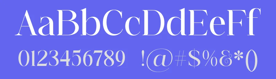 Prestige Edition Font by Shakira Studio — Serif Font — thumbnail 3