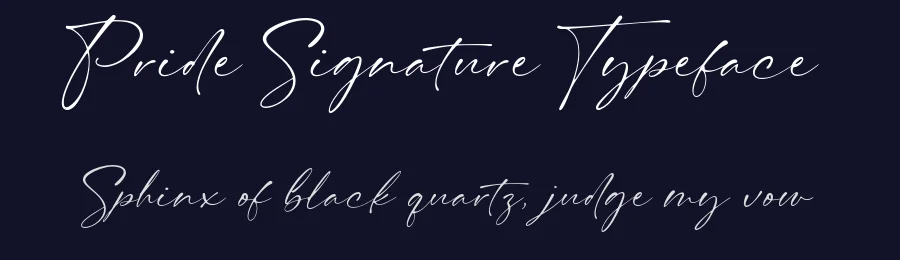 Pride Signature Typeface by Letteralle Studio — Script Handwritten Font — thumbnail 2