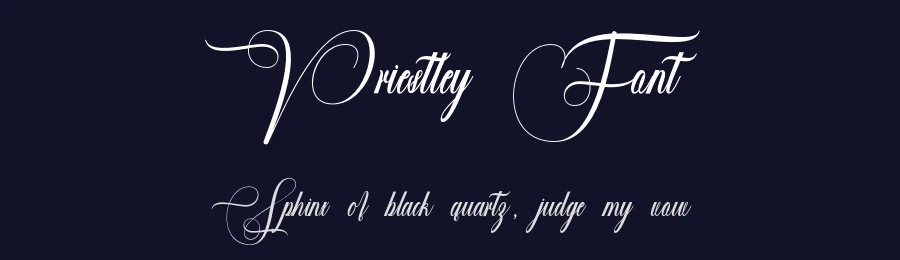 Priestley Font by gianstudio12 — Script Handwritten Font — thumbnail 2