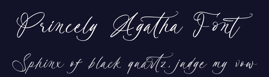 Princely Agatha Font by stylishtype.co — Script Handwritten Font — thumbnail 2