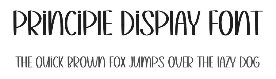 Principle Display Font by inermediaSTUDIO — Display Font