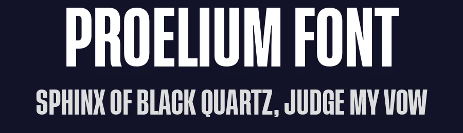 Proelium Font by WOLVE-Fonts — Sans Serif Font — thumbnail 2