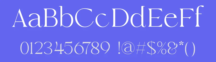 Profilen Font by TypeLogue — Serif Font — thumbnail 3