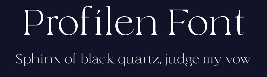 Profilen Font by TypeLogue — Serif Font — thumbnail 2