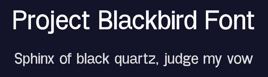 Project Blackbird Font by Leonit Gashi — Sans Serif Font — thumbnail 2
