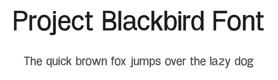 Project Blackbird Font by Leonit Gashi — Sans Serif Font