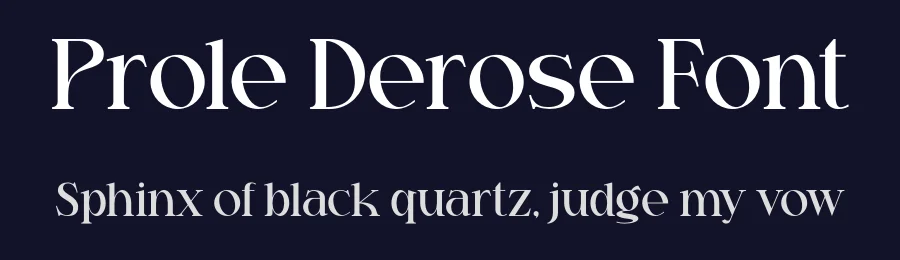 Prole Derose Font by Marvadesign — Serif Font — thumbnail 2